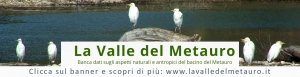 banner-lavalledelmetauro